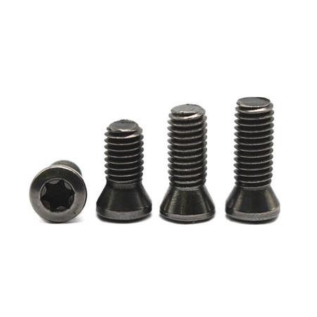 M4 x 11 Kater Civatası Torx Vidası Uçlu
